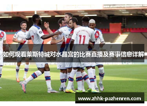 如何观看莱斯特城对水晶宫的比赛直播及赛事信息详解