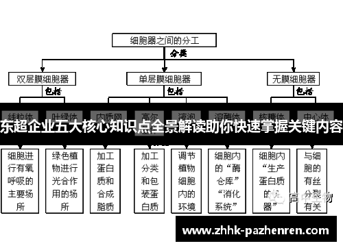 东超企业五大核心知识点全景解读助你快速掌握关键内容