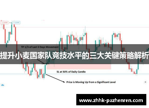 提升小麦国家队竞技水平的三大关键策略解析 提升小麦国家队竞技水平的三大关键策略解析